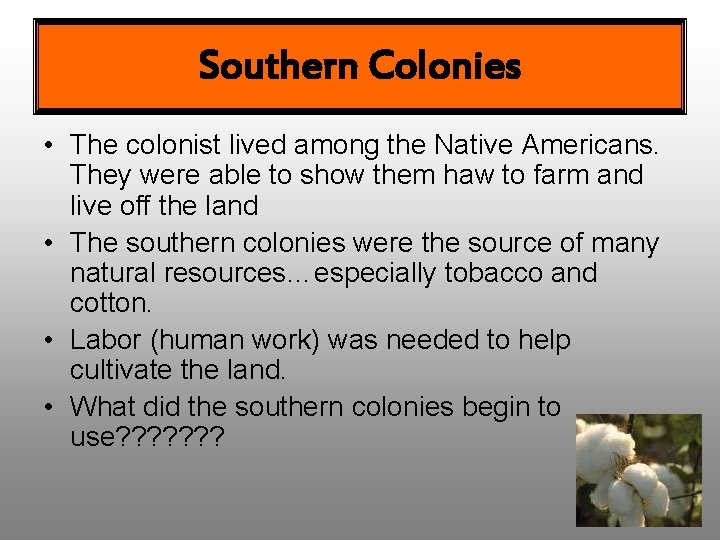 Southern Colonies • The colonist lived among the Native Americans. They were able to