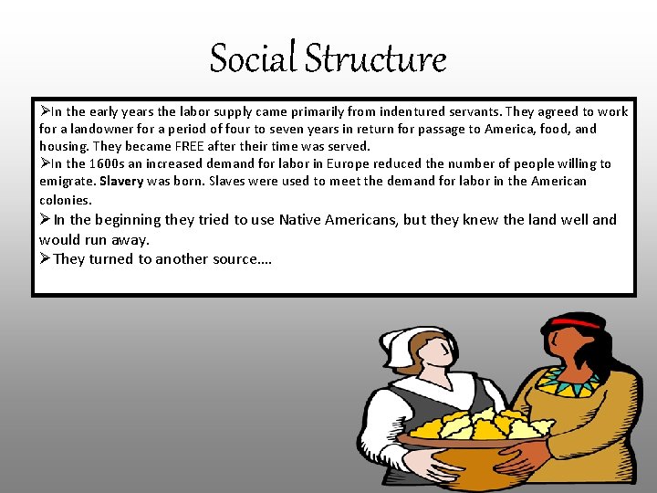 Social Structure ØIn the early years the labor supply came primarily from indentured servants.
