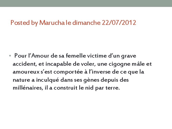 Posted by Marucha le dimanche 22/07/2012 • Pour l’Amour de sa femelle victime d’un
