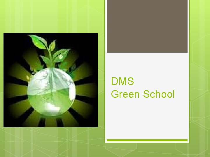 DMS Green School 