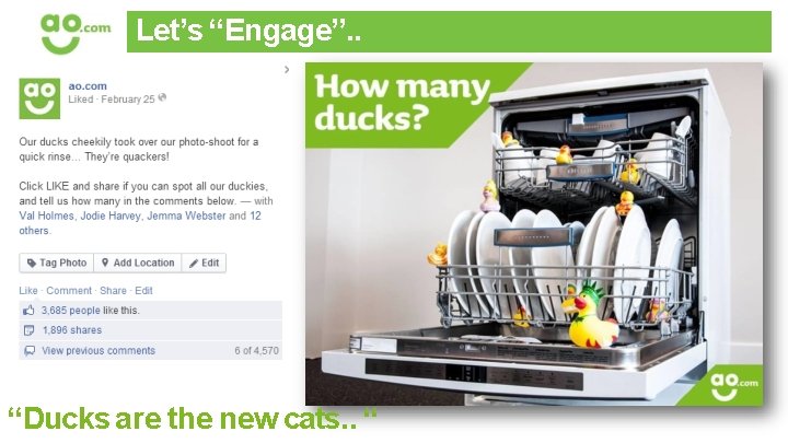 Let’s “Engage”. . “Ducks are the new cats. . “ 