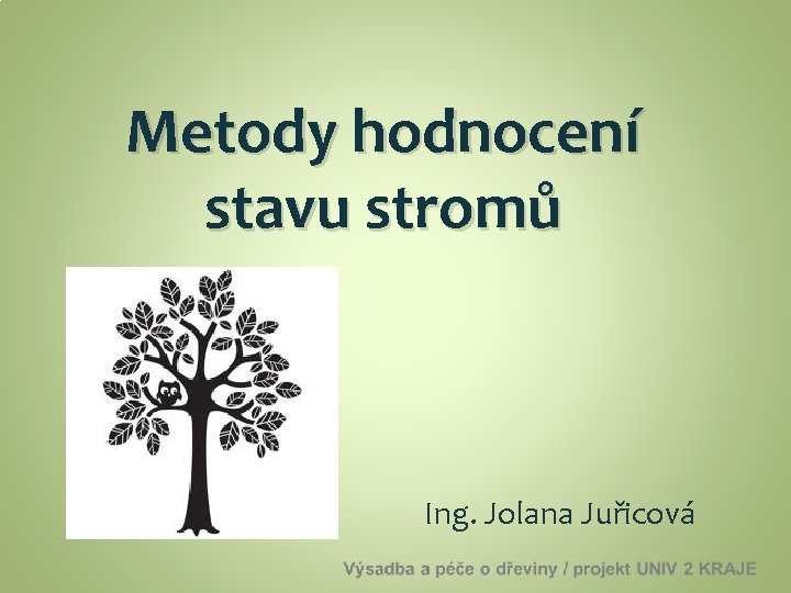 Metody hodnocení stavu stromů Ing. Jolana Juřicová 