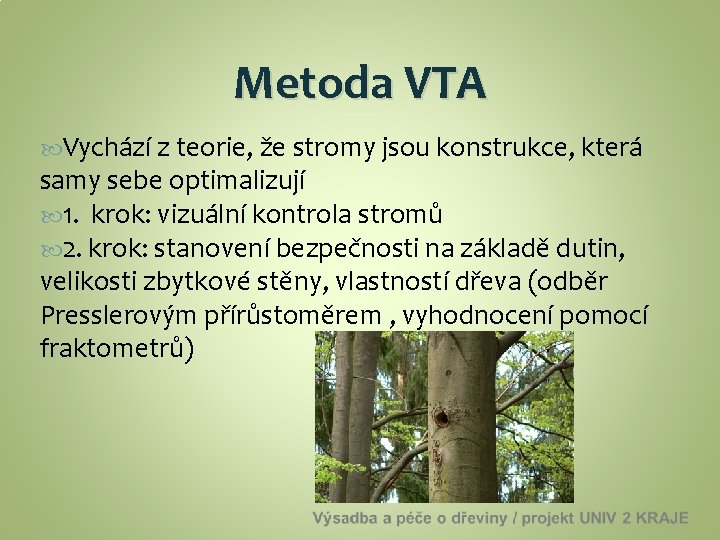 Metoda VTA Vychází z teorie, že stromy jsou konstrukce, která samy sebe optimalizují 1.