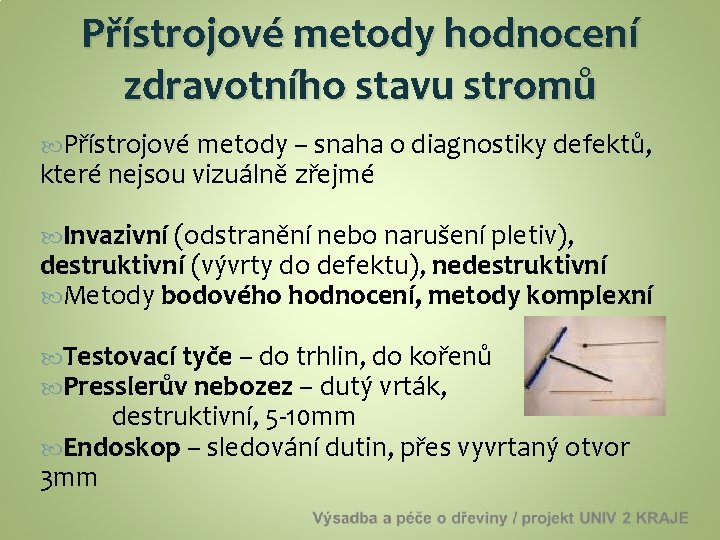 Přístrojové metody hodnocení zdravotního stavu stromů Přístrojové metody – snaha o diagnostiky defektů, které