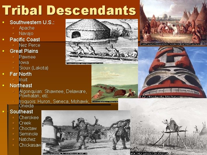 Tribal Descendants § Southwestern U. S. : § Apache § Navajo § Pacific Coast Tribal Descendants § Southwestern U. S. : § Apache § Navajo § Pacific Coast