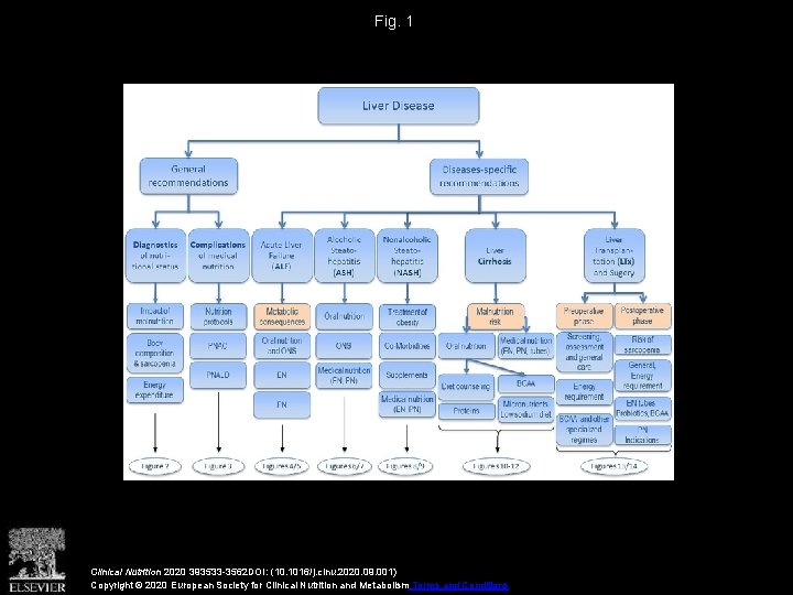 Fig. 1 Clinical Nutrition 2020 393533 -3562 DOI: (10. 1016/j. clnu. 2020. 09. 001)