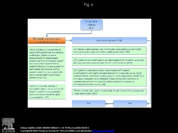 Fig. 4 Clinical Nutrition 2020 393533 -3562 DOI: (10. 1016/j. clnu. 2020. 09. 001)
