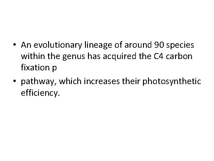  • An evolutionary lineage of around 90 species within the genus has acquired