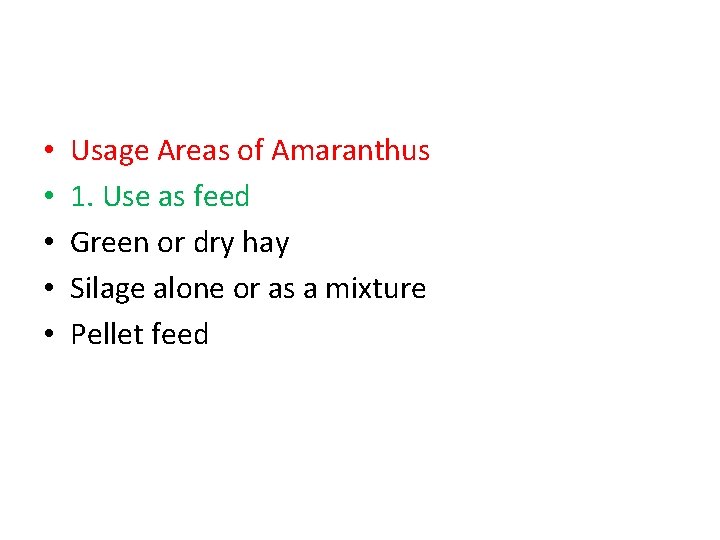  • • • Usage Areas of Amaranthus 1. Use as feed Green or