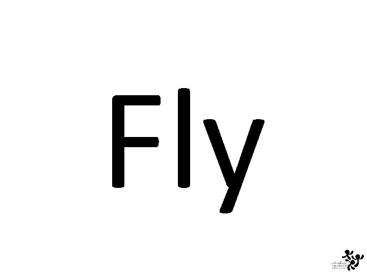 Fly 