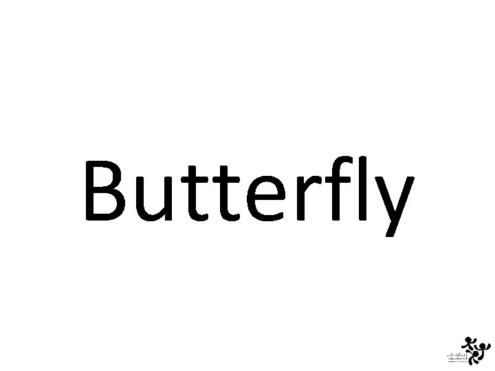 Butterfly 