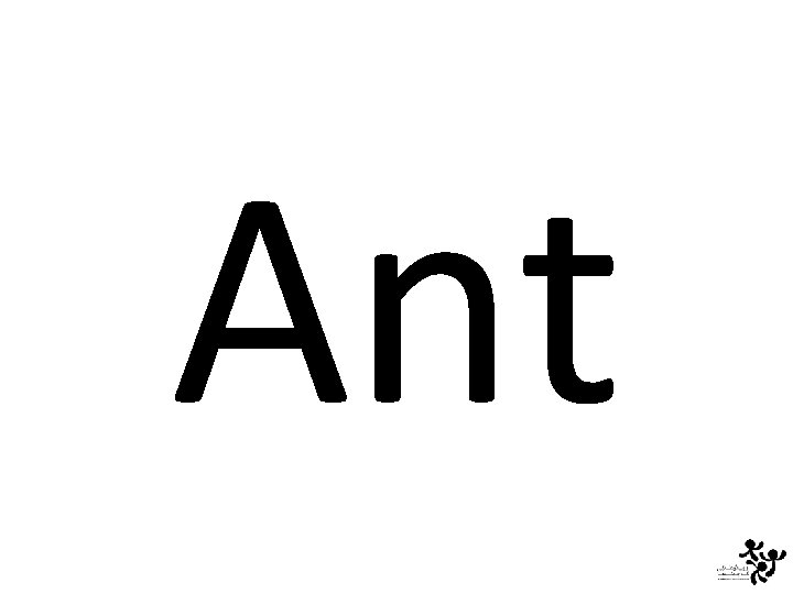 Ant 