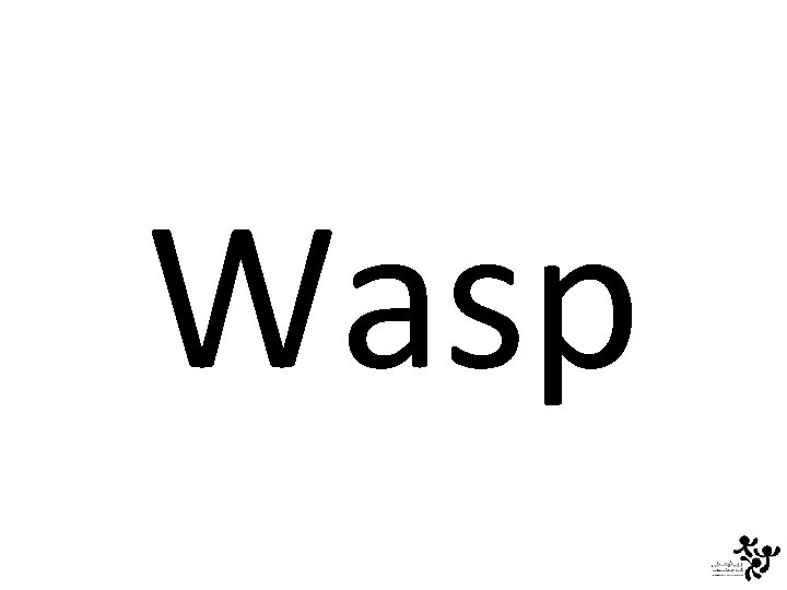 Wasp 