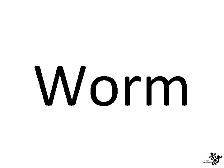 Worm 