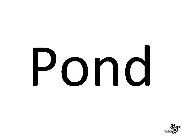 Pond 