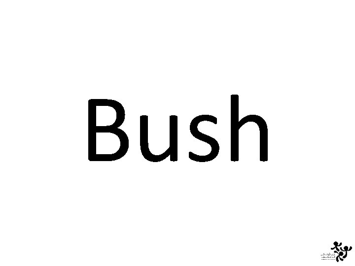 Bush 