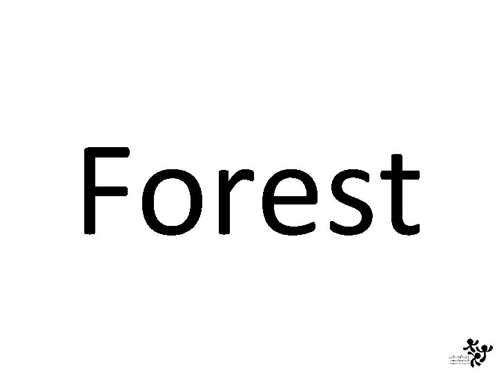 Forest 
