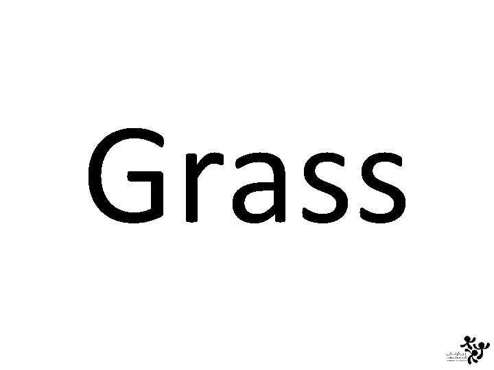 Grass 