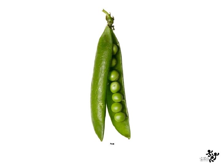 Peas 