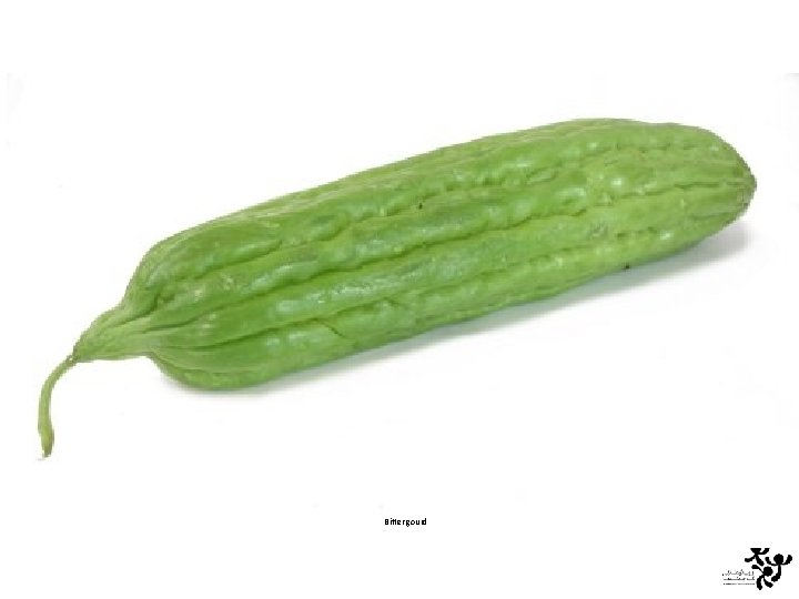 Bitter gourd 