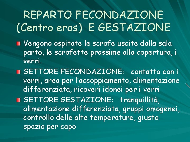 REPARTO FECONDAZIONE (Centro eros) E GESTAZIONE Vengono ospitate le scrofe uscite dalla sala parto,