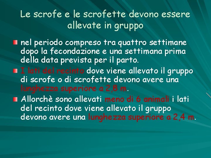 Le scrofe e le scrofette devono essere allevate in gruppo nel periodo compreso tra