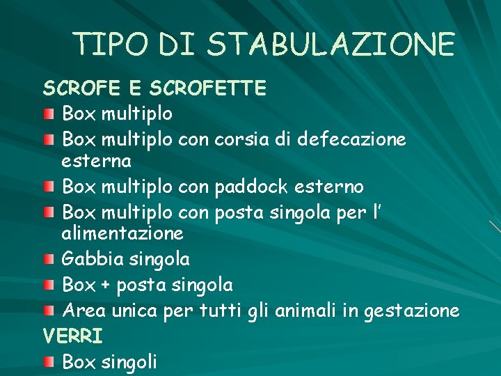 TIPO DI STABULAZIONE SCROFETTE Box multiplo con corsia di defecazione esterna Box multiplo con