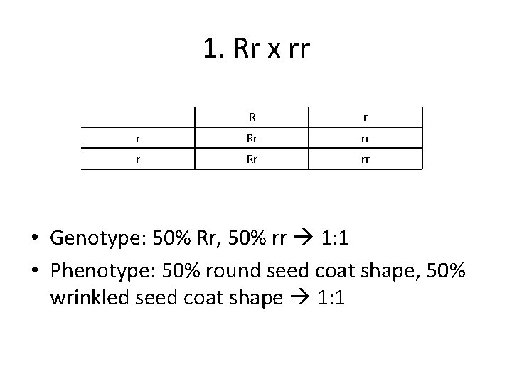 1. Rr x rr R r r Rr rr • Genotype: 50% Rr, 50%