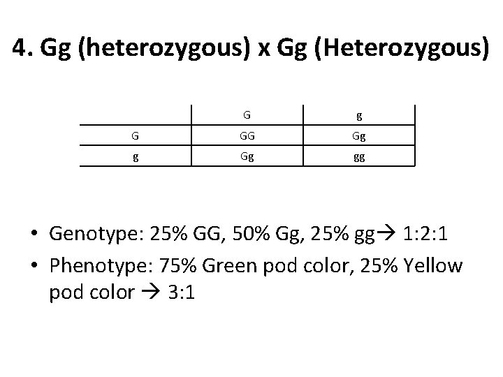 4. Gg (heterozygous) x Gg (Heterozygous) G g G GG Gg gg • Genotype: