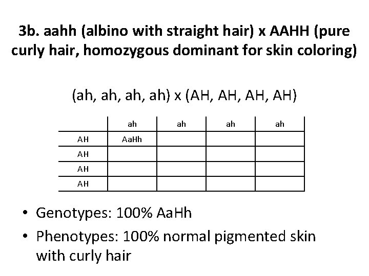 3 b. aahh (albino with straight hair) x AAHH (pure curly hair, homozygous dominant