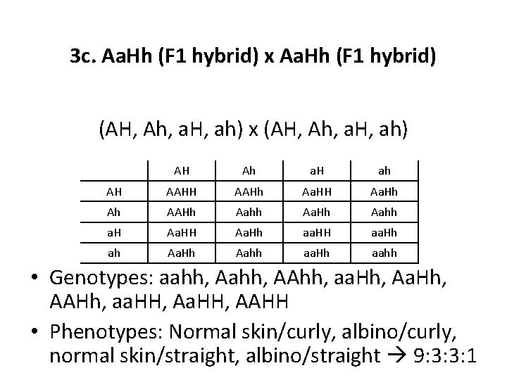 3 c. Aa. Hh (F 1 hybrid) x Aa. Hh (F 1 hybrid) (AH,