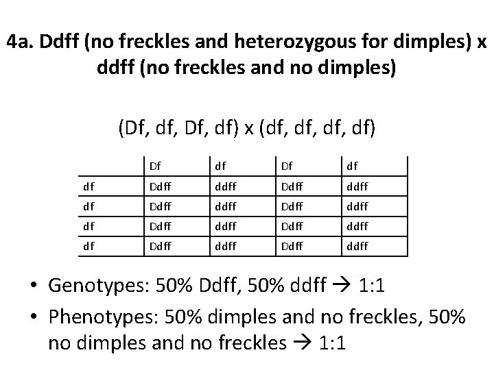 4 a. Ddff (no freckles and heterozygous for dimples) x ddff (no freckles and