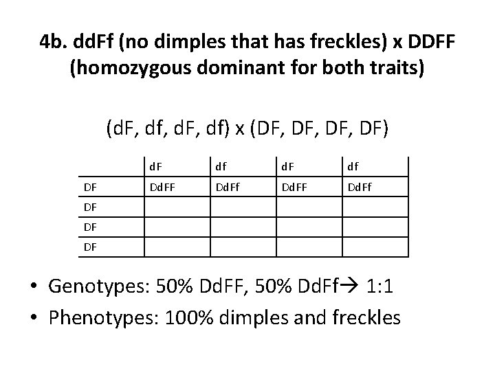 4 b. dd. Ff (no dimples that has freckles) x DDFF (homozygous dominant for