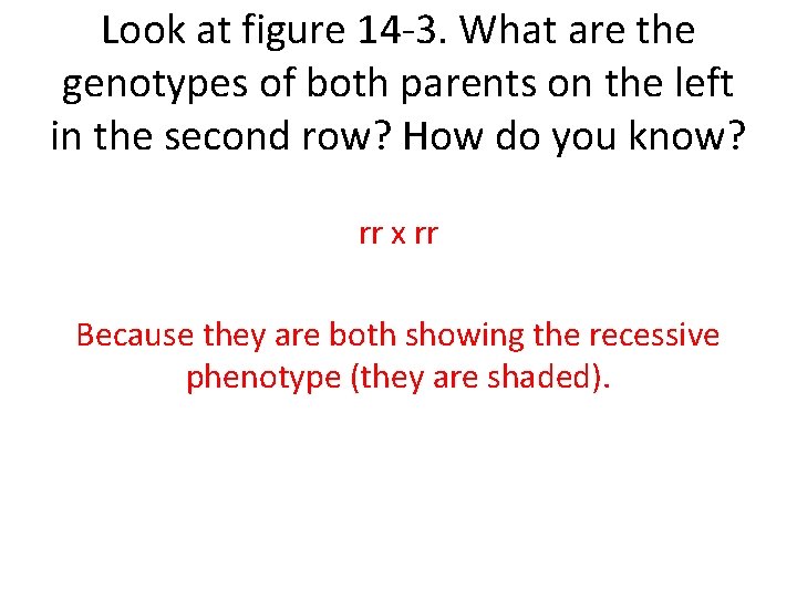 Look at figure 14 -3. What are the genotypes of both parents on the