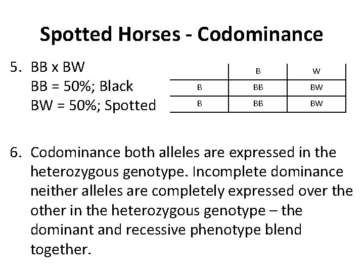Spotted Horses - Codominance 5. BB x BW BB = 50%; Black BW =