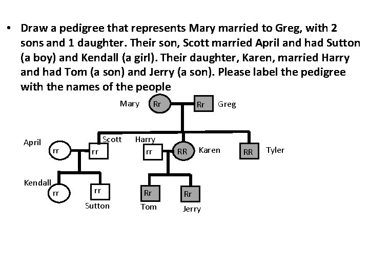  • Draw a pedigree that represents Mary married to Greg, with 2 sons