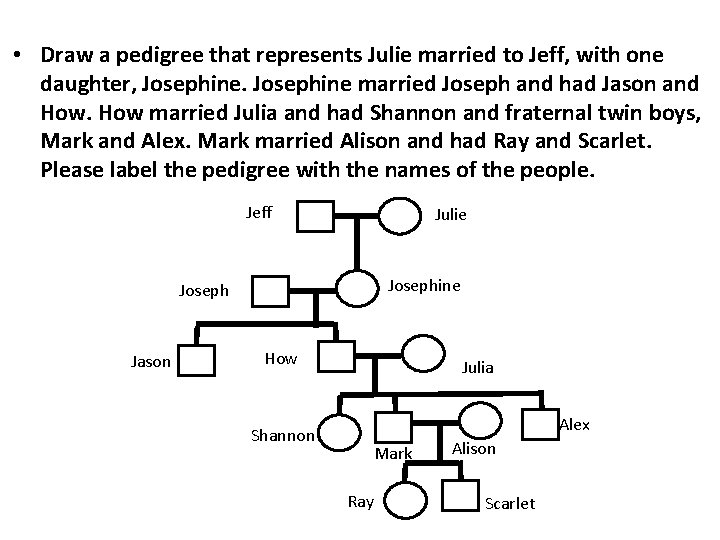  • Draw a pedigree that represents Julie married to Jeff, with one daughter,
