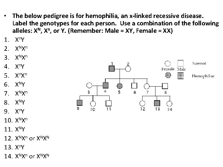  • The below pedigree is for hemophilia, an x-linked recessive disease. Label the
