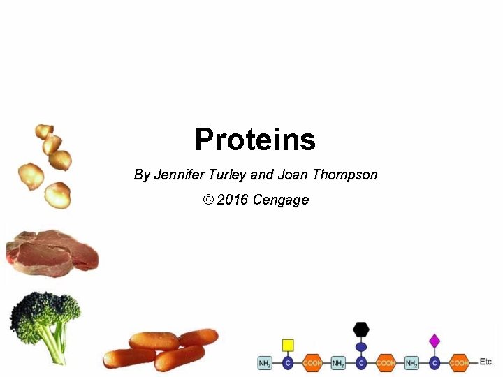 Proteins By Jennifer Turley and Joan Thompson © 2016 Cengage 