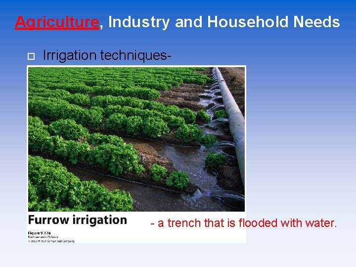 Agriculture, Industry and Household Needs Irrigation techniques- - a trench that is flooded with