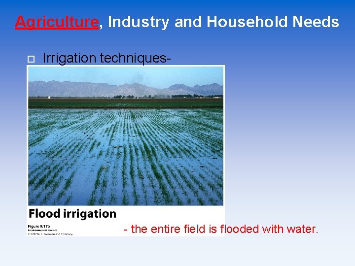 Agriculture, Industry and Household Needs Irrigation techniques- - the entire field is flooded with
