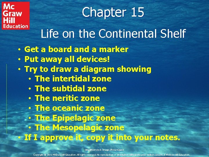 Chapter 15 Life on the Continental Shelf • Get a board and a marker