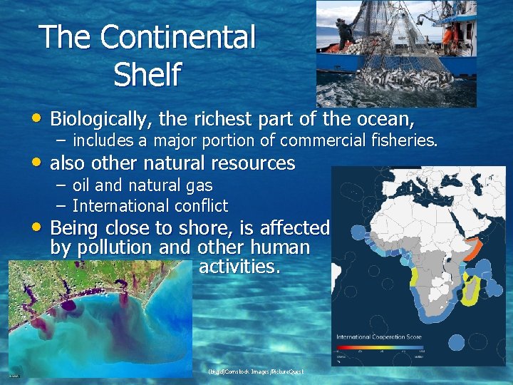 The Continental Shelf • Biologically, the richest part of the ocean, – includes a
