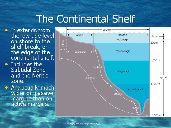 The Continental Shelf • It extends from • • the low tide level on