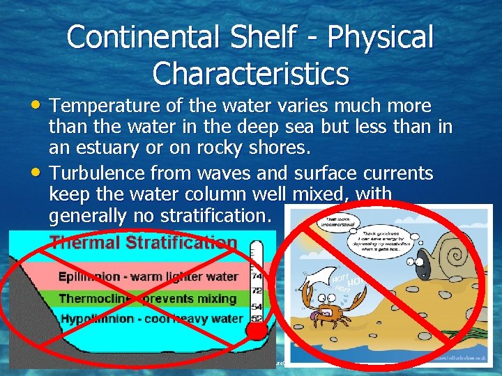 Continental Shelf - Physical Characteristics • Temperature of the water varies much more •