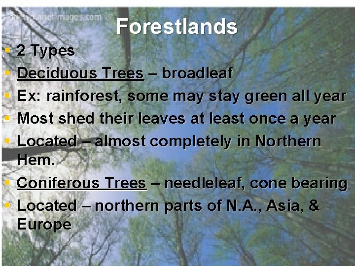 Forestlands § § § 2 Types Deciduous Trees – broadleaf Ex: rainforest, some may Forestlands § § § 2 Types Deciduous Trees – broadleaf Ex: rainforest, some may