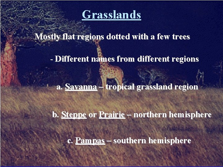 Grasslands Mostly flat regions dotted with a few trees - Different names from different Grasslands Mostly flat regions dotted with a few trees - Different names from different