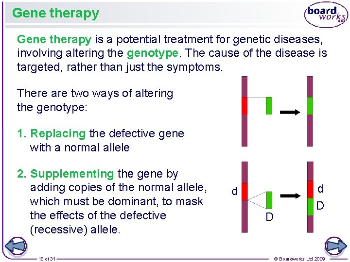 Gene therapy is a potential treatment for genetic diseases, involving altering the genotype. The