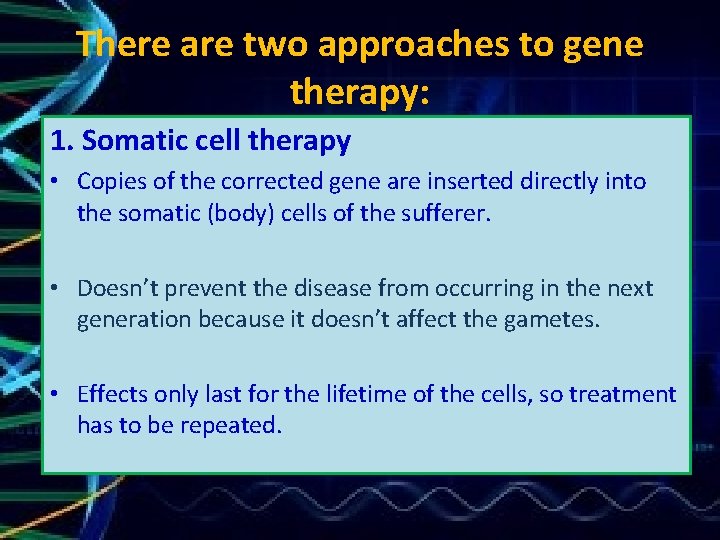 There are two approaches to gene therapy: 1. Somatic cell therapy • Copies of