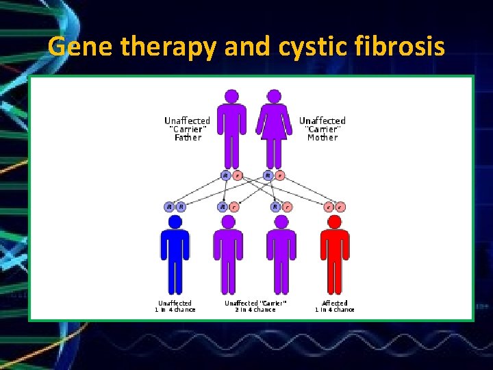 Gene therapy and cystic fibrosis 